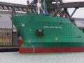 Arklow rebel - grand puit - 12 novembre 2010 (04).JPG